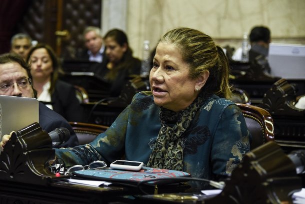 Graciela Camaño: "Sentí bronca porque en un acto de un avión vinculado a la dictadura, Cristina hablaba de interna política"