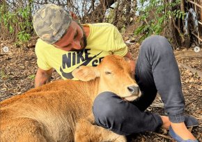 La Fundaci&oacute;n "Planeta Vivo" est&aacute; juntando plata para ayudar a los animales afectados por los incendios en la Patagonia