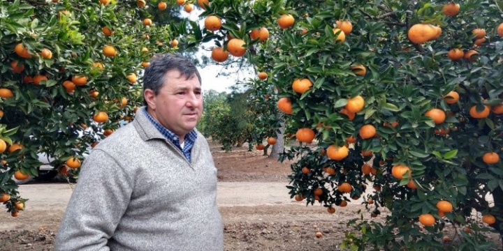 El enojo de Fernando Borgo por las trabas europeas a los cítricos: “Fue como pegarse un tiro en los pies”, describe