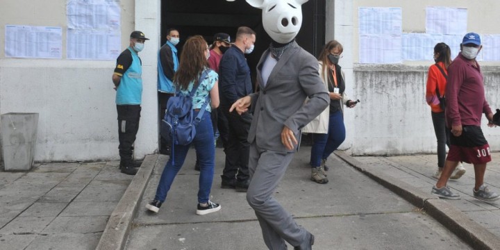 Quién es el personaje que apareció en las elecciones y se hace llamar “Chancho Blanco”