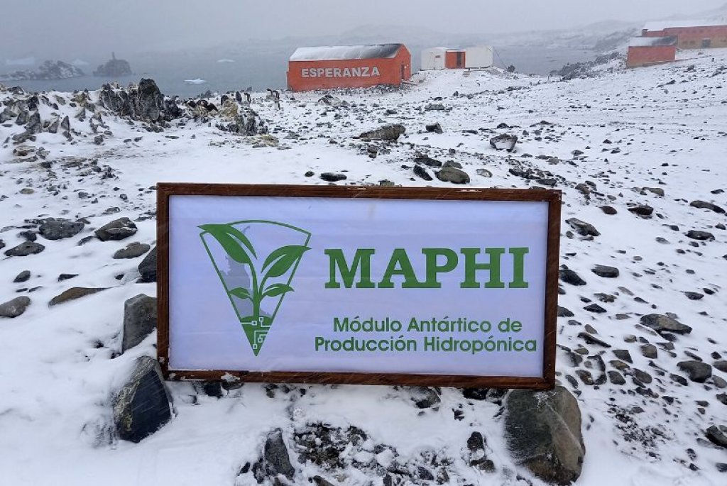 La Base Esperanza comenzó a producir las primeras verduras de hoja