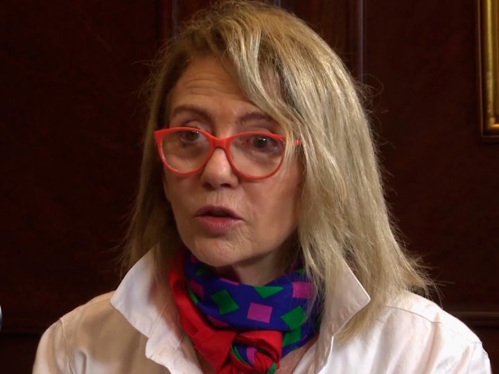 Graciela Roemer: "El pa&iacute;s est&aacute; atravesado por una gran inestabilidad pol&iacute;tica, econ&oacute;mica y social"