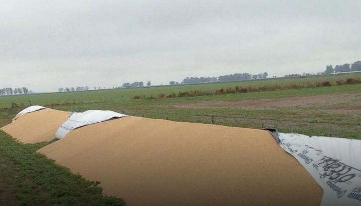 De Raedemaeker, sobre los delitos en el campo: &quot;Es un daño que se le hace a la comida&quot;