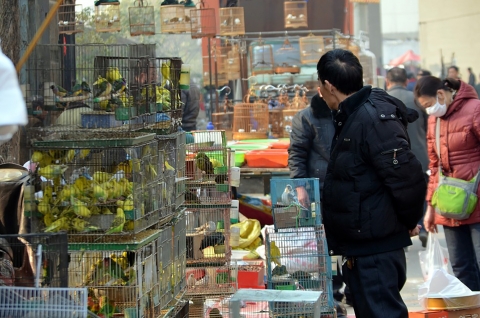 "No está comprobado que el origen del COVID sean los mercados chinos", dijo el director del Observatorio Sino-Argentino