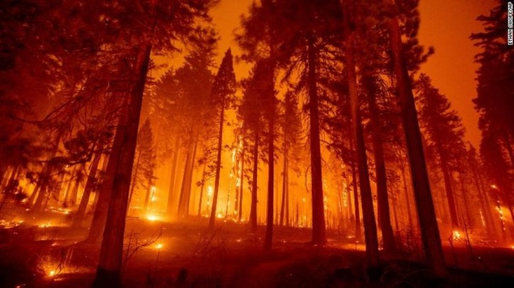 Incendios en Corrientes: Gustavo Valdés aseguró que Alberto Fernández se comprometió a ayudarlos