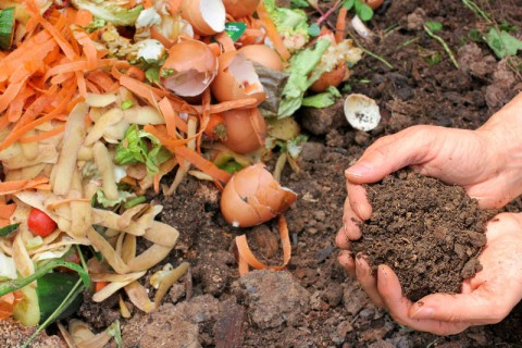 Nadina Reynoso: "Gracias al compost se resuelven la contaminación por residuos"