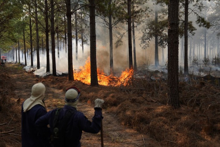 Hizo una canción por los incendios en Corrientes y criticando al Gobierno