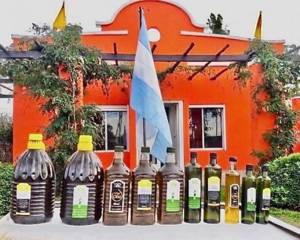 Su abuelo se vino de Siria y ahora él produce aceite de oliva en Córdoba