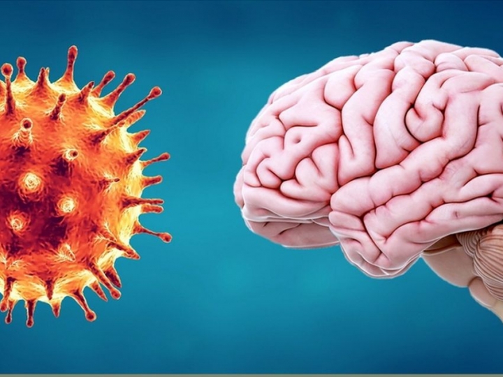 Advierten sobre un &#039;tsunami cerebral&#039; causado por el coronavirus, que hasta podría derivar en esquizofrenia