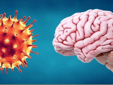 Advierten sobre un 'tsunami cerebral' causado por el coronavirus, que hasta podría derivar en esquizofrenia