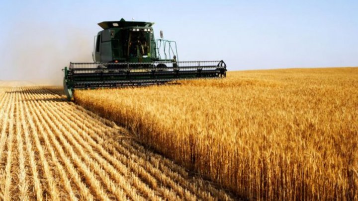 Elbio Laucirica: "Campo: necesitamos que el presidente Milei cumpla con eliminar las retenciones o alg&uacute;n alivio fiscal"