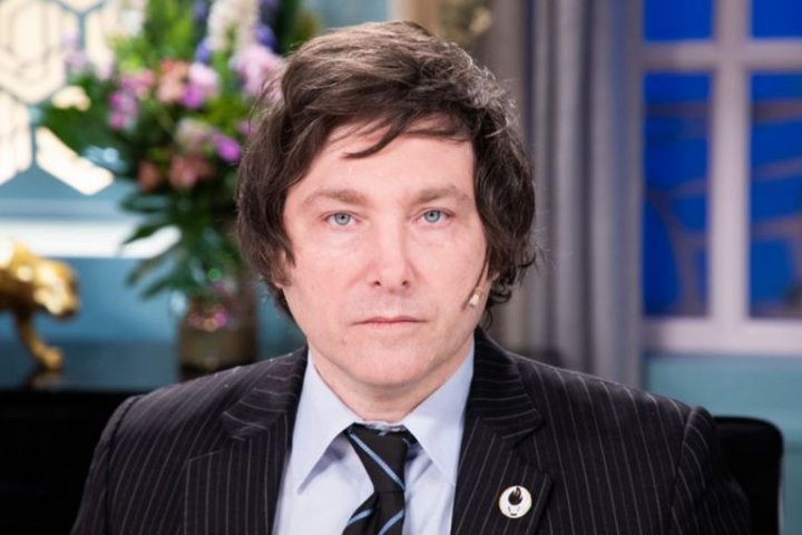 Javier Milei: "kicillof tiene problemas de biblioteca"