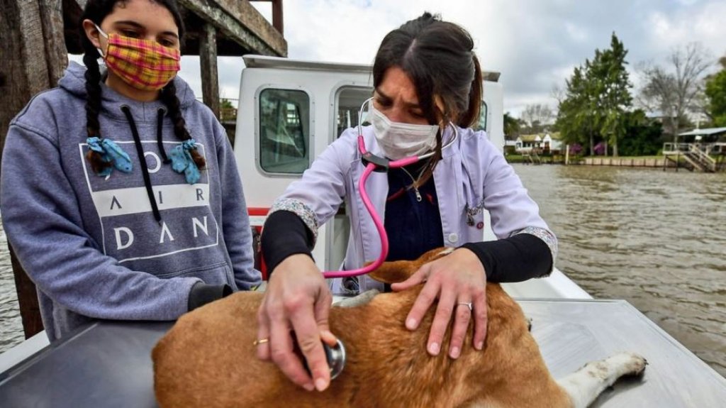 ¿Cómo es el consultorio flotante donde atiende Leila Peluso? Conocé la historia de la veterinaria del Delta