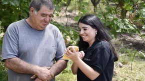 Agrojusto: una plataforma donde se digitaliza la compraventa de alimentos