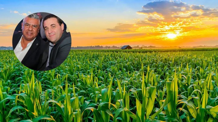 Ricardo Baldi: "Si querés que Toviggino te escriture el obelisco, lo va a hacer"