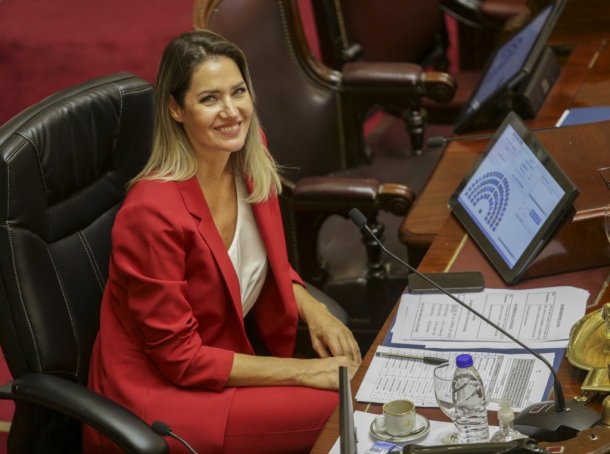 Carolina Losada: "Manejan el Senado como si fuese su empresa o su casa"