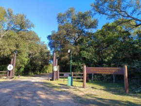 Carolina Hounsfield: "El mono aullador es el animal emblema del Parque Nacional Chaco"