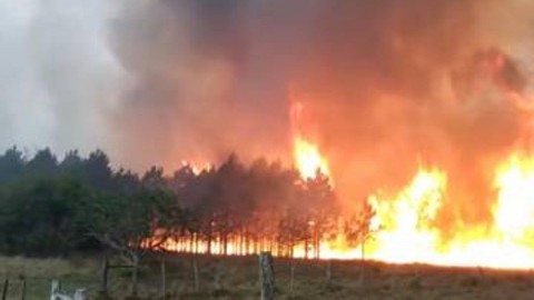 Pablo Sánchez: "El daño ambiental es gigantesco, necesitamos ayuda urgente"