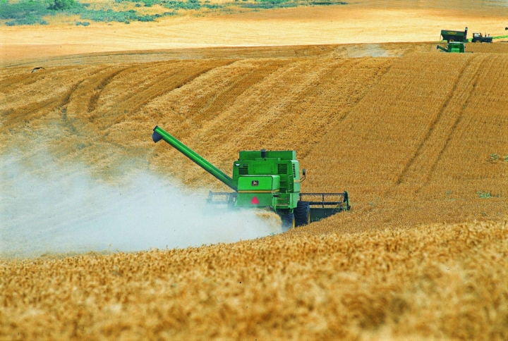 El lamento de un productor agropecuario: "Te cambian las reglas de juego"