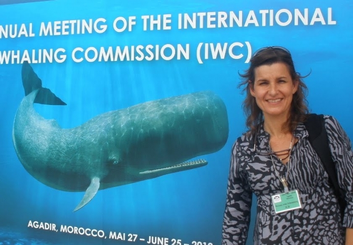 Roxana Schteinbarg: "El instituto de conservación de ballenas se creó hace 5 años"