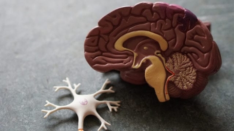 Aprueban una prometedora droga para tratar el Alzheimer en su estadío inicial