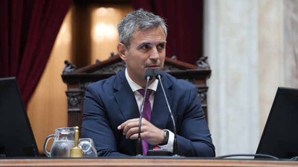 Mart&iacute;n Menem: "Este a&ntilde;o se pueden conseguir muchos consensos"