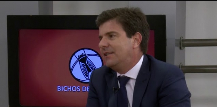 Diego Cifarelli explica por qué la cadena triguera rechaza el HB4: “No estamos en contra de la tecnología, pero nos genera mucha incertidumbre”