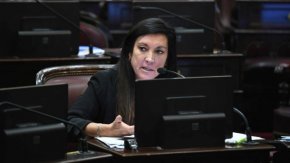 Laura Machado: "El PRO comparte el mismo programa de Gobierno de La Libertad Avanza"