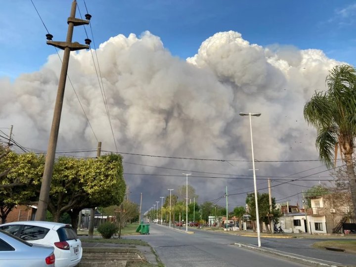Se reavivaron focos de incendio en el Delta del Paran&aacute;: "Hay mucho temor en la poblaci&oacute;n por el humo"