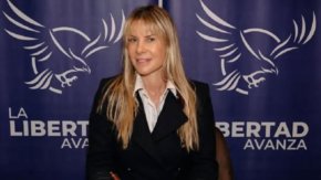 Karen Reichhardt: "Es una enfermedad mental volver a votar  al kirchnerismo"