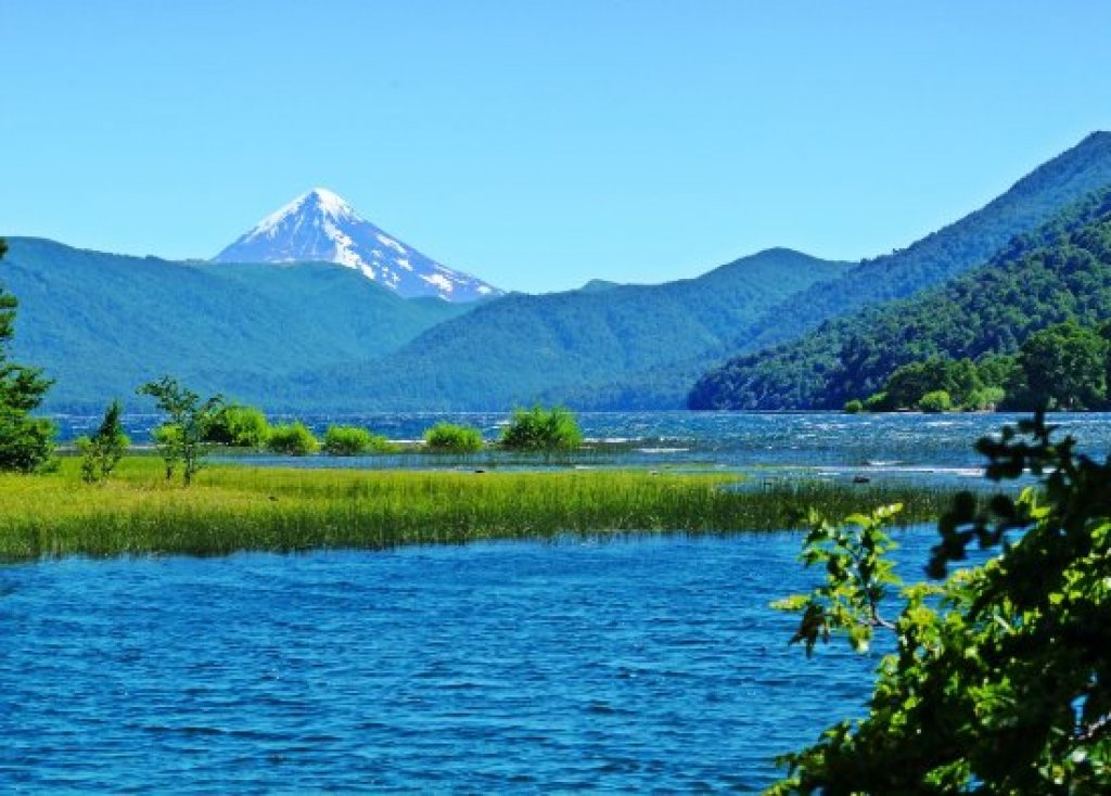 Todo sobre la pesca en la Patagonia, de la mano de Mario Lussich