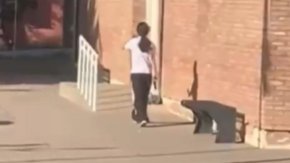 "Es increíble cómo manipulaba el arma": la fuerte confesión de la madre de una compañera de la adolescente atrincherada en una escuela de Mendoza
