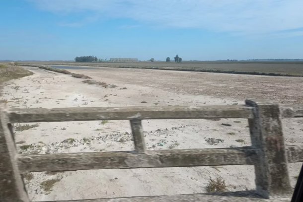Juan José Madero, ingeniero agrónomo de Pila: “Por la noche hay gente con linternas caminando por el medio del Rio Salado, está seco”
