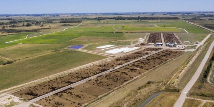 Impacto ambiental y distancia de los pueblos: Los feedlot bonaerenses negocian una regulación que sirva para todos