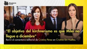 "El objetivo del kirchnerismo es que Milei no llegue a diciembre"