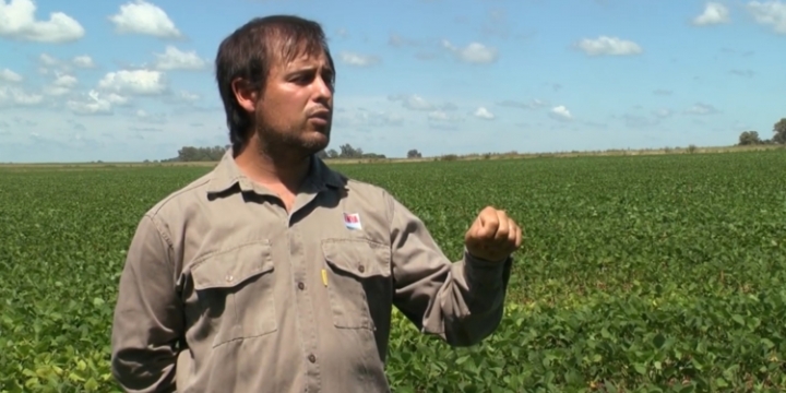 Mariano Luna es experto del INTA en aplicaciones de agroquímicos: Confirma que hay muchas otras precauciones a tomar antes que fijar áreas prohibidas