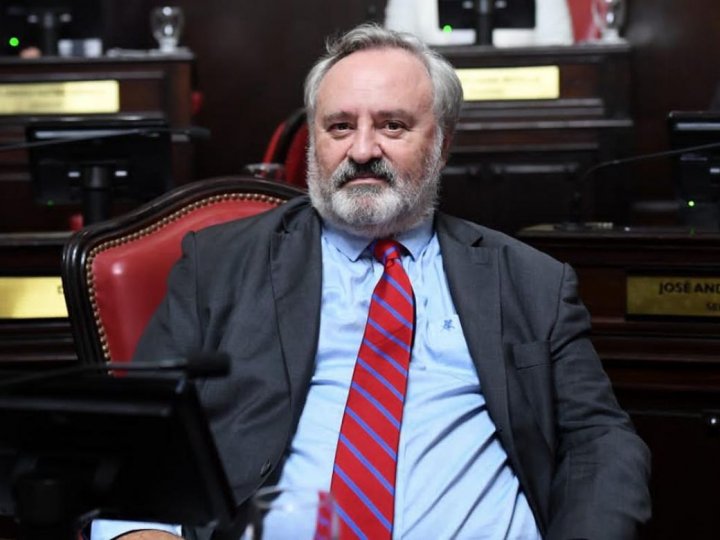 Joaquín de la Torre: "Tenemos que aprovechar las PASO para crecer"