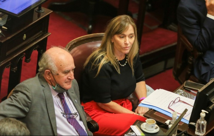 Acuerdo FMI: el Frente de Todos tambi&eacute;n votar&aacute; dividido en el Senado y buscar&aacute; una mano de la oposici&oacute;n