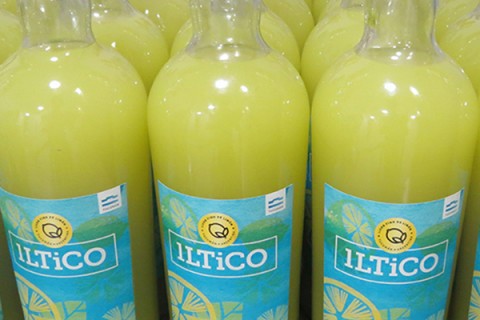 Nicolas Silvetti: "Tucumán es el mayor proveedor mundial de limones"