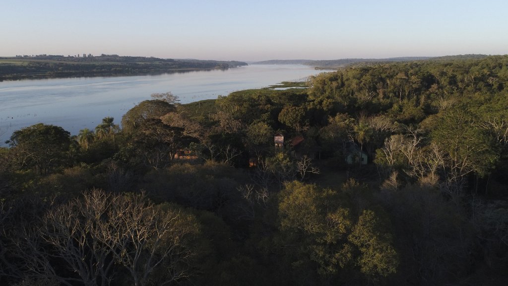 Parque Federal Campo San Juan: la reserva natural salvaje de Misiones que es refugio de 300 especies de aves