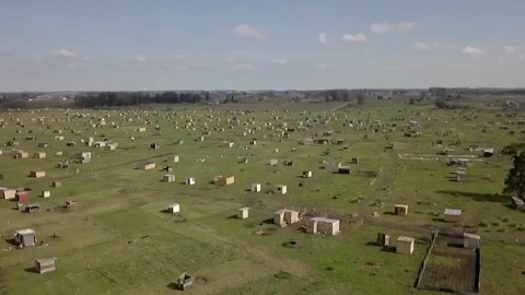 Toma de tierras en La Plata: ya son 250 hectáreas y es la más grande de la provincia de Buenos Aires