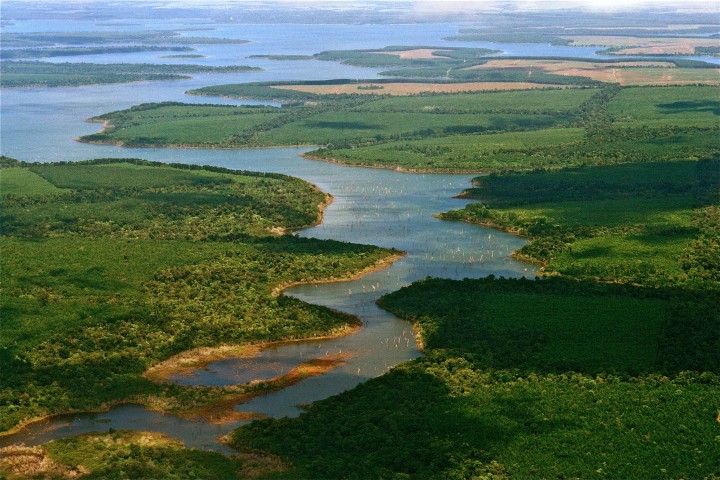 Los Esteros del Iberá: entre los destinos recomendados por The New York Times para 2022