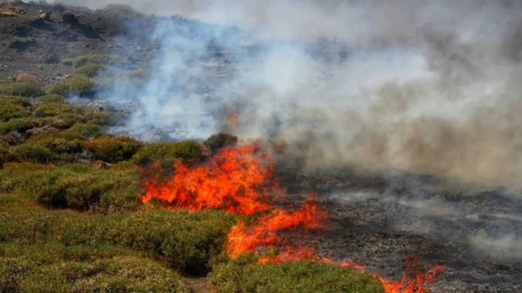 Neuquén: Por la limpieza de un canal se originó un descontrolado incendio