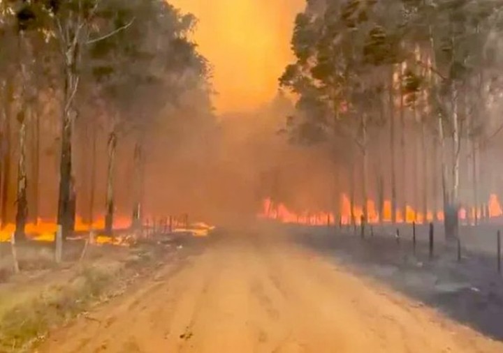 Incendios en Corrientes: un productor agropecuario asegur&oacute; que tanto el Gobierno provincial como el nacional reaccionaron tarde