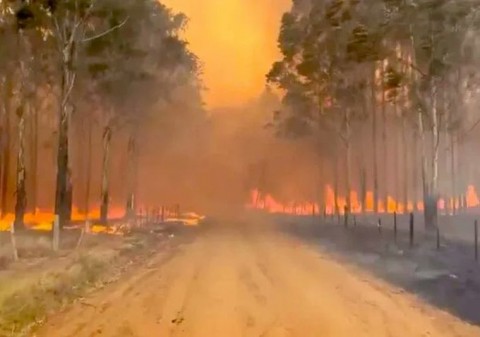 Incendios en Corrientes: un productor agropecuario aseguró que tanto el Gobierno provincial como el nacional reaccionaron tarde