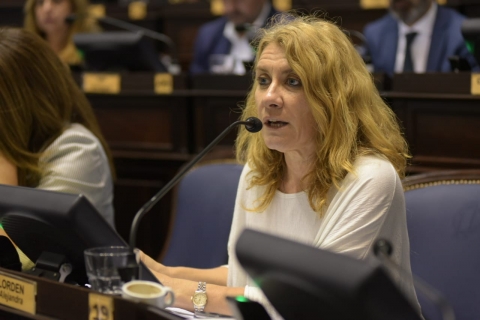 Alejandra Lordén: "Le pedimos a Kicillof menos declaraciones y más reuniones"