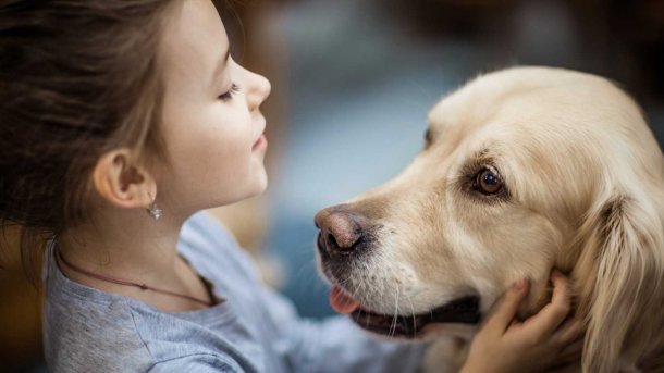 Córdoba: se necesitó un fallo judicial para reconocer a los perros como seres sintientes