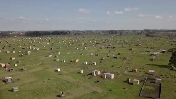 Toma de Los Hornos: venden terrenos a 400 mil pesos tras el fallo que declaró que no fue un delito