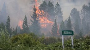 Ariel Amathauer: "El combate contra el fuego empieza por la educación"