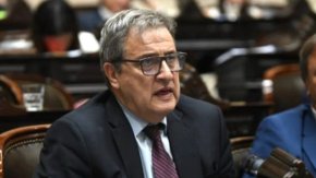 Eduardo Falcone: "O rechazamos los art&iacute;culos y vuelve al Senado o la Ley es invotable"